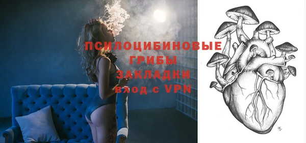 кокс Алексин
