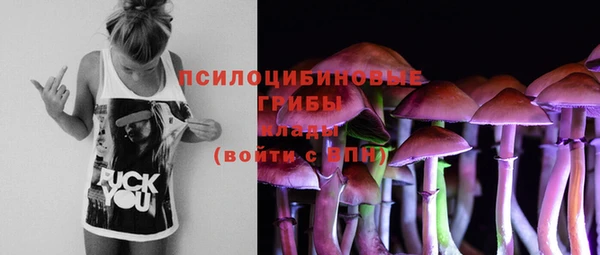 мяу мяу кристалл Ельня