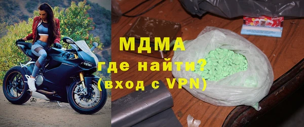 индика Елабуга