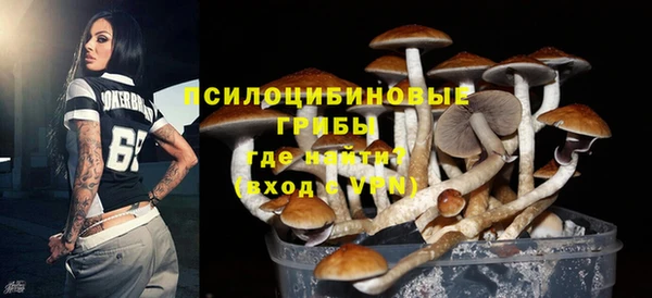 спайс Алзамай