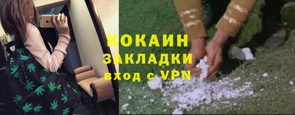 спайс Алзамай