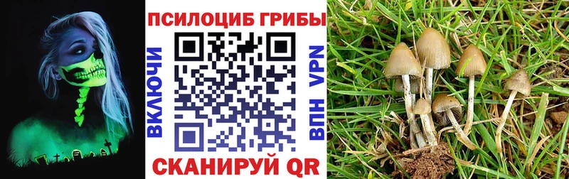 Псилоцибиновые грибы мицелий  Ахтырский 